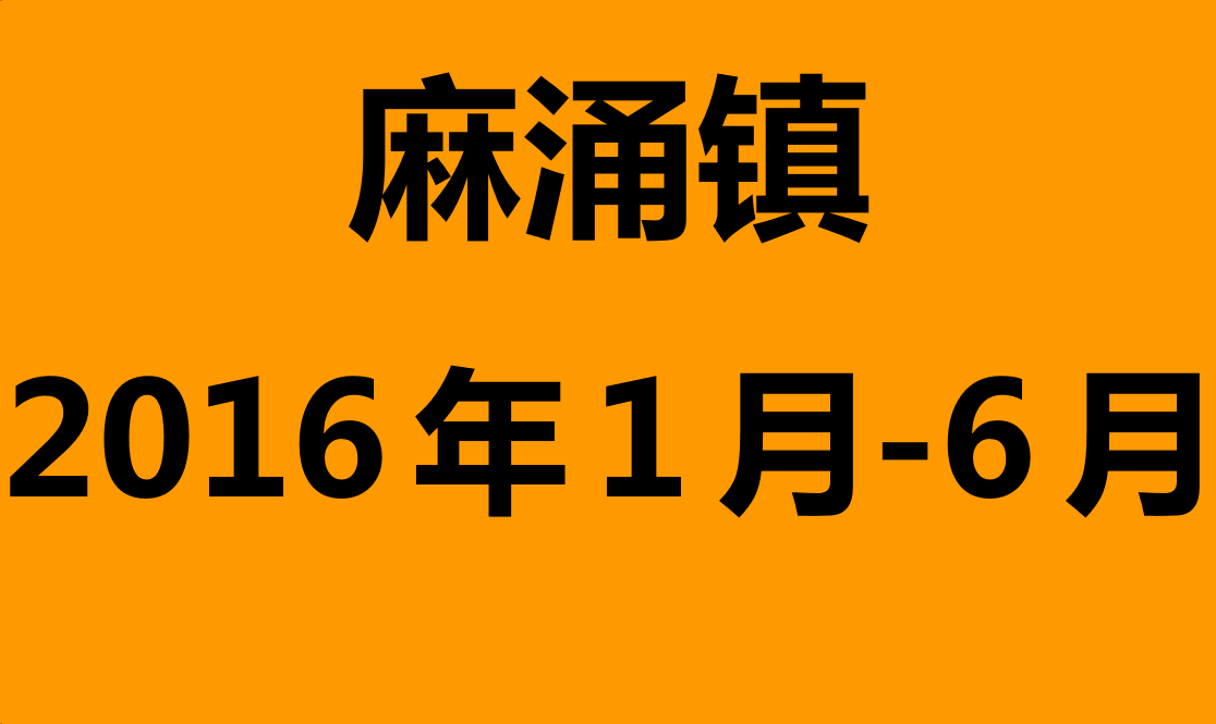 麻涌镇2016年1月-6月志愿助残活动