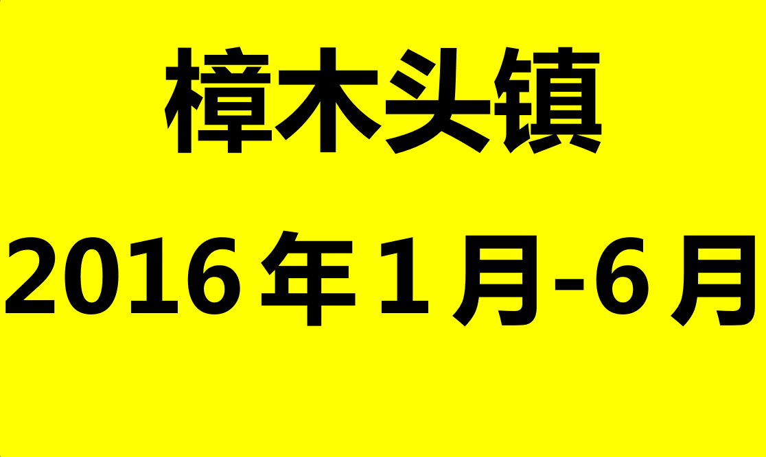 樟木头2016年1月-6月志愿助残活动
