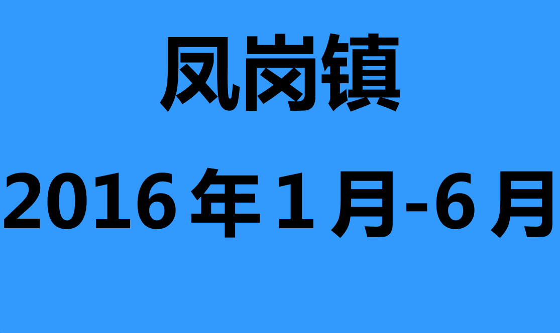 凤岗镇2016年1月-6月志愿助残活动