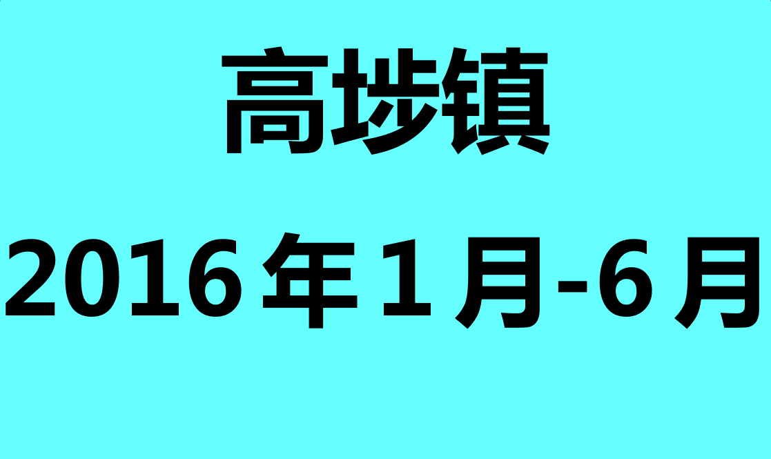 高埗镇2016年1月-6月志愿助残活动